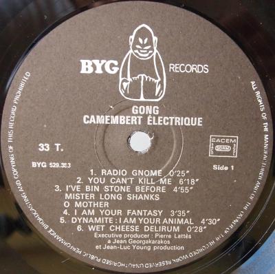 Camembert electrique