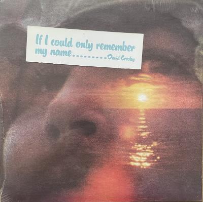 If i could only remember my name